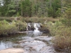 Beaver dam south of Deer Pond